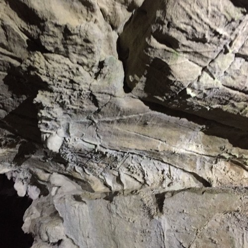 Space Committee - How To Drive