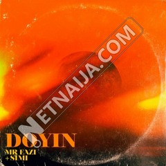 Mr Eazi - Doyin (feat. Simi) [Prod. by Killertunes] || NetNaija.com