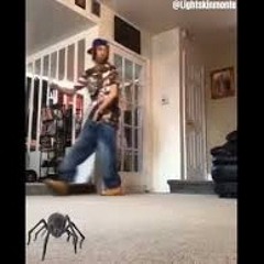 Oh Shit a Spider