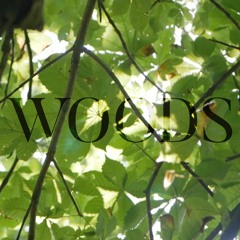 Woods