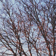 tower garden - autumn wind (prod. J $tyL3z)