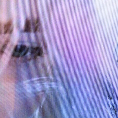 wasted </e33e33(lilac+winter)