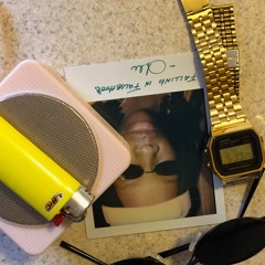 Falling In Falsehood