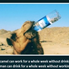 H2O Ft. Word The Unorthodox & AsthmatiC (Promo Version)