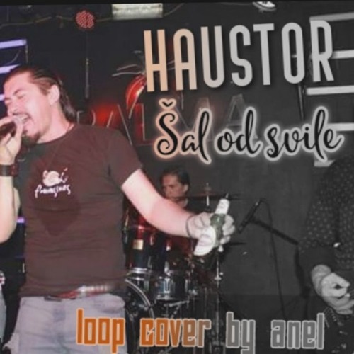 Haustor - Šal od svile (Boss VE-20 live loop cover by Anel)