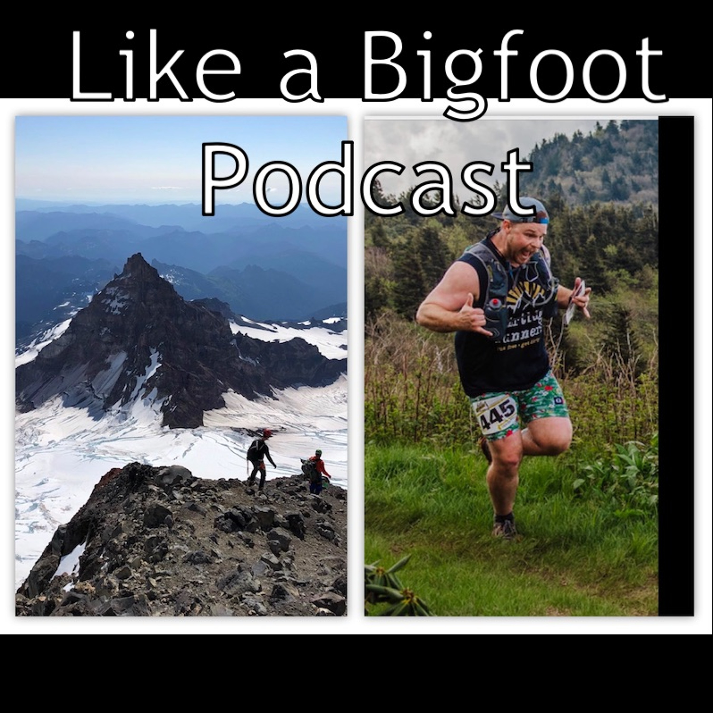 #160: "Bigfoot Sightings" 4 -- Climbing Mt. Rainier, Training for First 50 Miler episode artwork