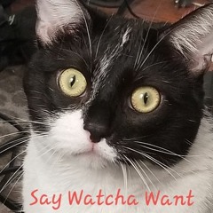 SAY WATCHA WANT (Fr33BI3)
