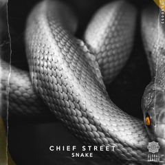 Chief Street - Snake