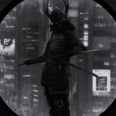 Samurai Code