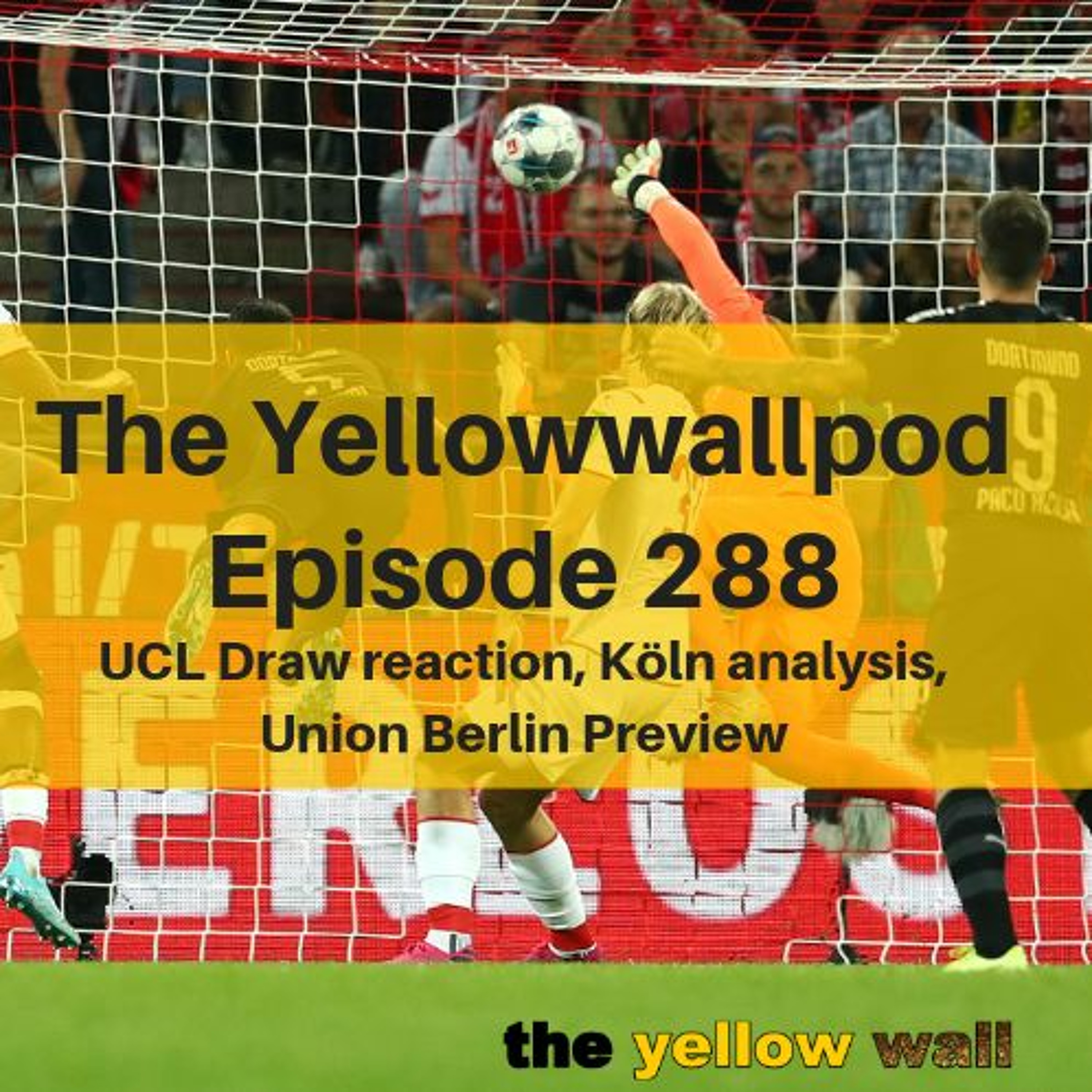 Yellowwallpod