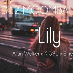 Lily (Moombah Chill)-D12 REMIX