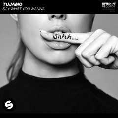 Tujamo - Say What You Wanna (Odyssey Remix)