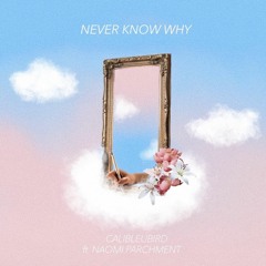 Never Know Why (feat. Naomi Parchment)