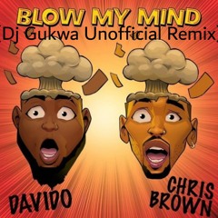 Davido Ft  Chris Brown - Blow My Mind (Dj Gukwa Unofficial Remix)