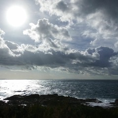 Evolution / T. Jarrier & G.F. Pellerin