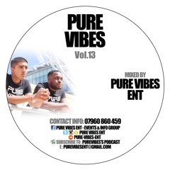 Pure Vibes Vol.13