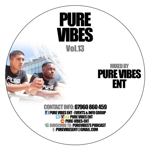 Pure Vibes Vol.13