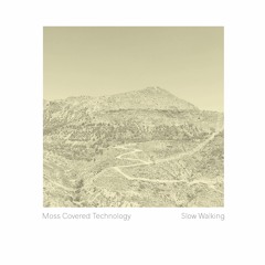 'Forgotten Views' - Slow Walking - [Polar Seas Recordings, 2019]