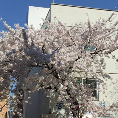 Susquatch - Return of Spring