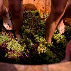 What's the deal with grape stomping?