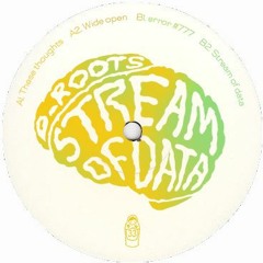 Dolly33 D_Roots - Stream Of Data EP