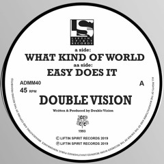 Double Vision - What Kind Of World