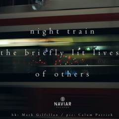 naviarhaiku295: night train