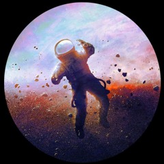 Paradox - Orbiter
