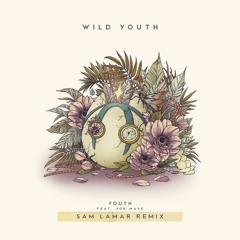 Dabin - Youth (Sam Lamar Remix)