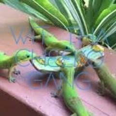 Wit Tha Cheeko Gang (Prod. Nicasso Beats)