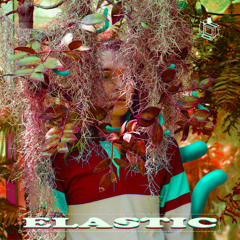 Drive45 - Elastic 🧬