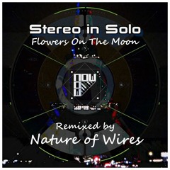 Flowers On The Moon (Nature Of Wires Remix)
