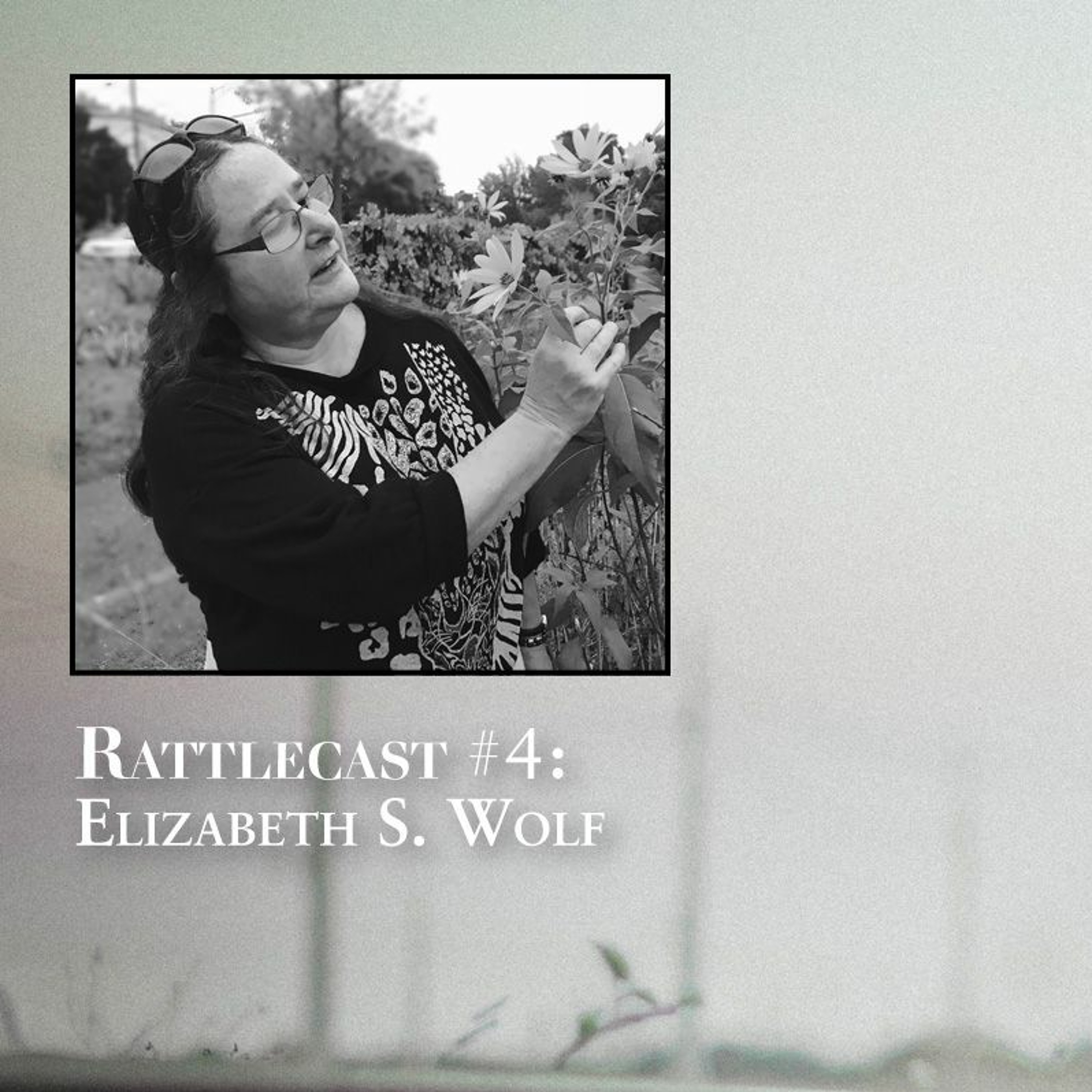 ep. 4 - Elizabeth S. Wolf episode artwork