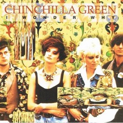 I Wonder Why - Chinchilla Green