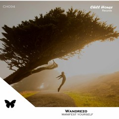 Wandrezo - Manifest Yourself (original Mix)