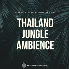 Sound Compilation Royalty Free Jungle Sounds At Night! Thailand