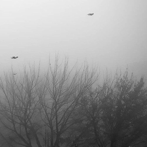 Like a Techno Rhythm