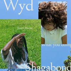 Wyd (feat. DAISY) w/ Shagabond