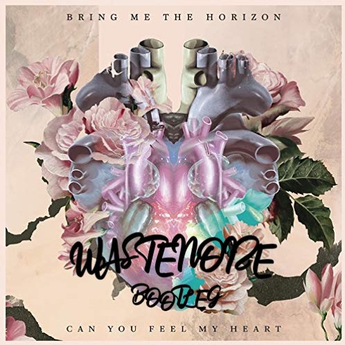 Bring Me The Horizon - Can You Feel My Heart (Wastenoize Bootleg)(Free Download)