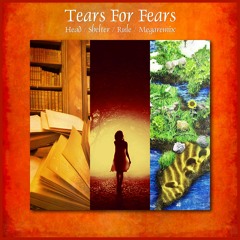 Tears For Fears - Head Shelter Rule (Rhythm Scholar Megaremix)