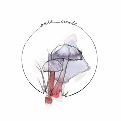 David Mayer - The Circle EP (Ouïe Circle)