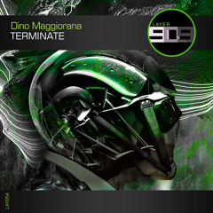LAY054 : Dino Maggiorana - Strange (Original Mix)