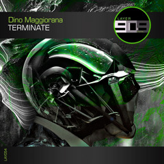 LAY054 : Dino Maggiorana - Terminate (Original Mix)