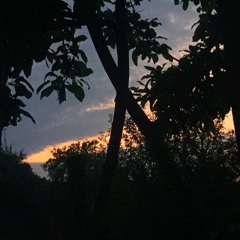 SANdyxanna-Sunset