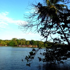 Save Amazonia