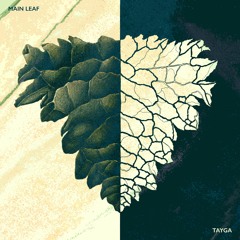 PREMIERE : Main Leaf - Illusion (Original Mix) [WOOD]