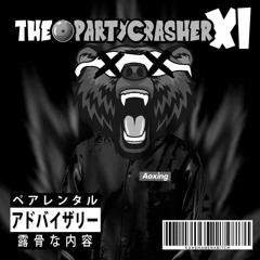 THE PARTYCRASHER - Mixtape Vol. 11