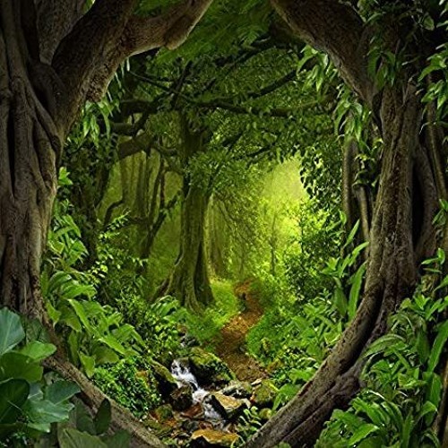 Stream Fairy Forest by Tempura Penguin