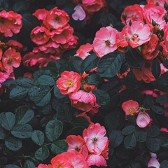 San Holo - I Still See Your Face (kasim rizvi remix)