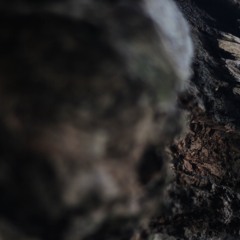 Malka Older – The Divided – Part 7/9 disquiet0400